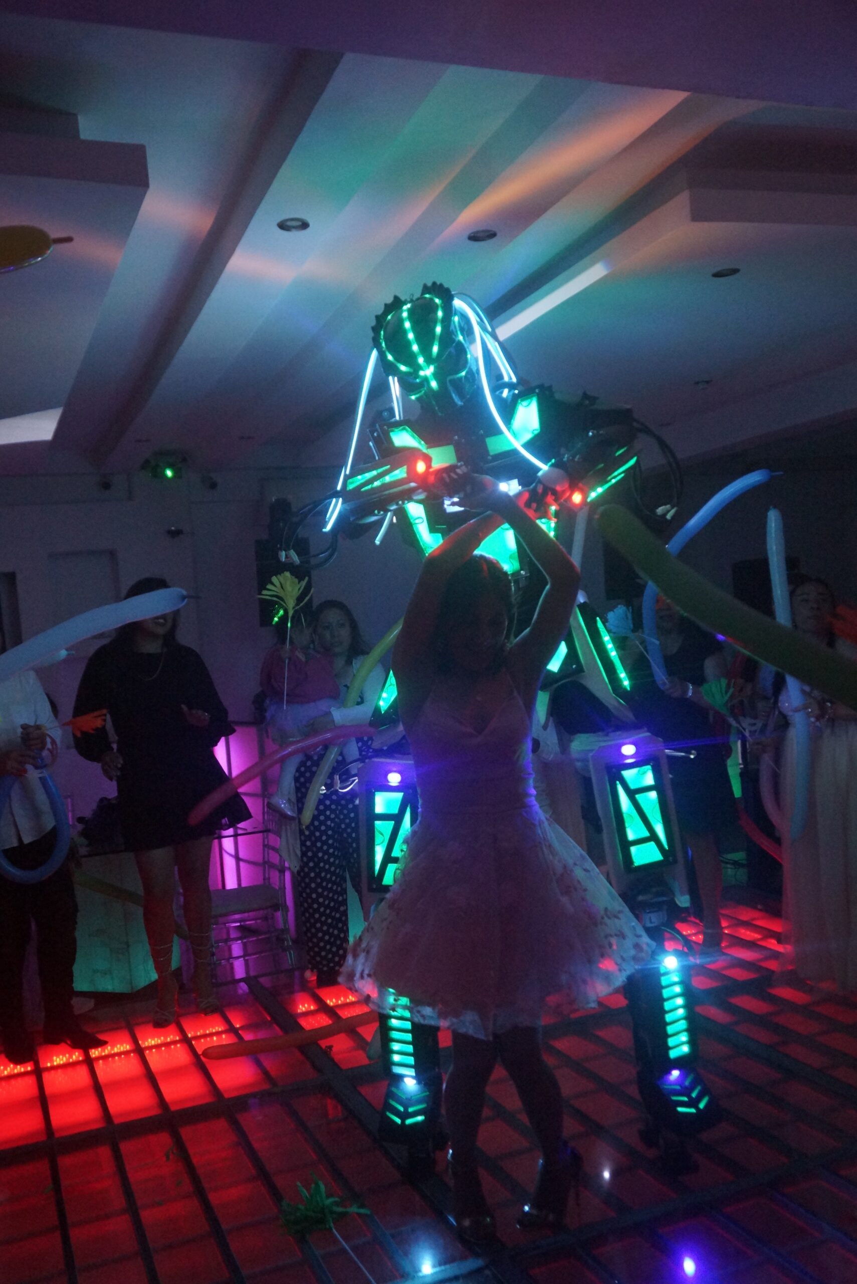 Boda Premium - Imagen 17